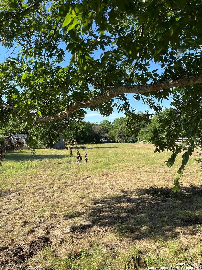 Seguin, TX 78155,557 COLLINS St.