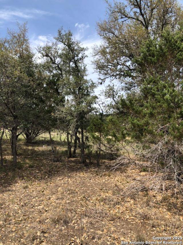 Uvalde, TX 78801,43 White Tail Run
