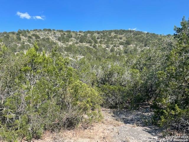 Uvalde, TX 78801,LOT 265 County Road 408