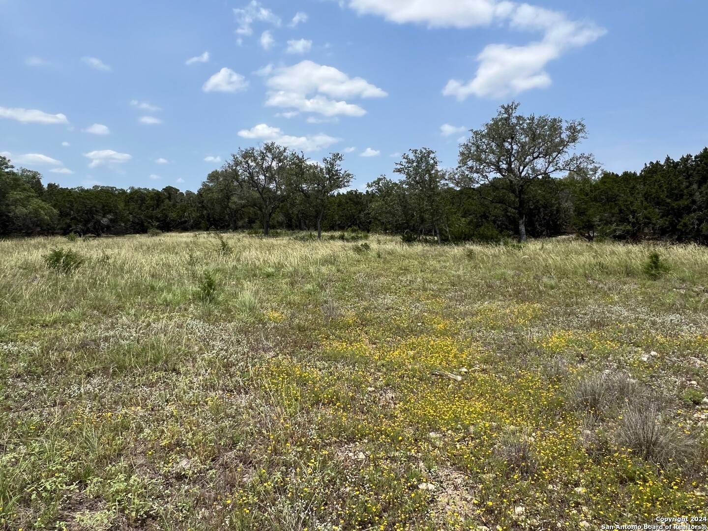 Boerne, TX 78006,LOT 39 Vaquero Pass