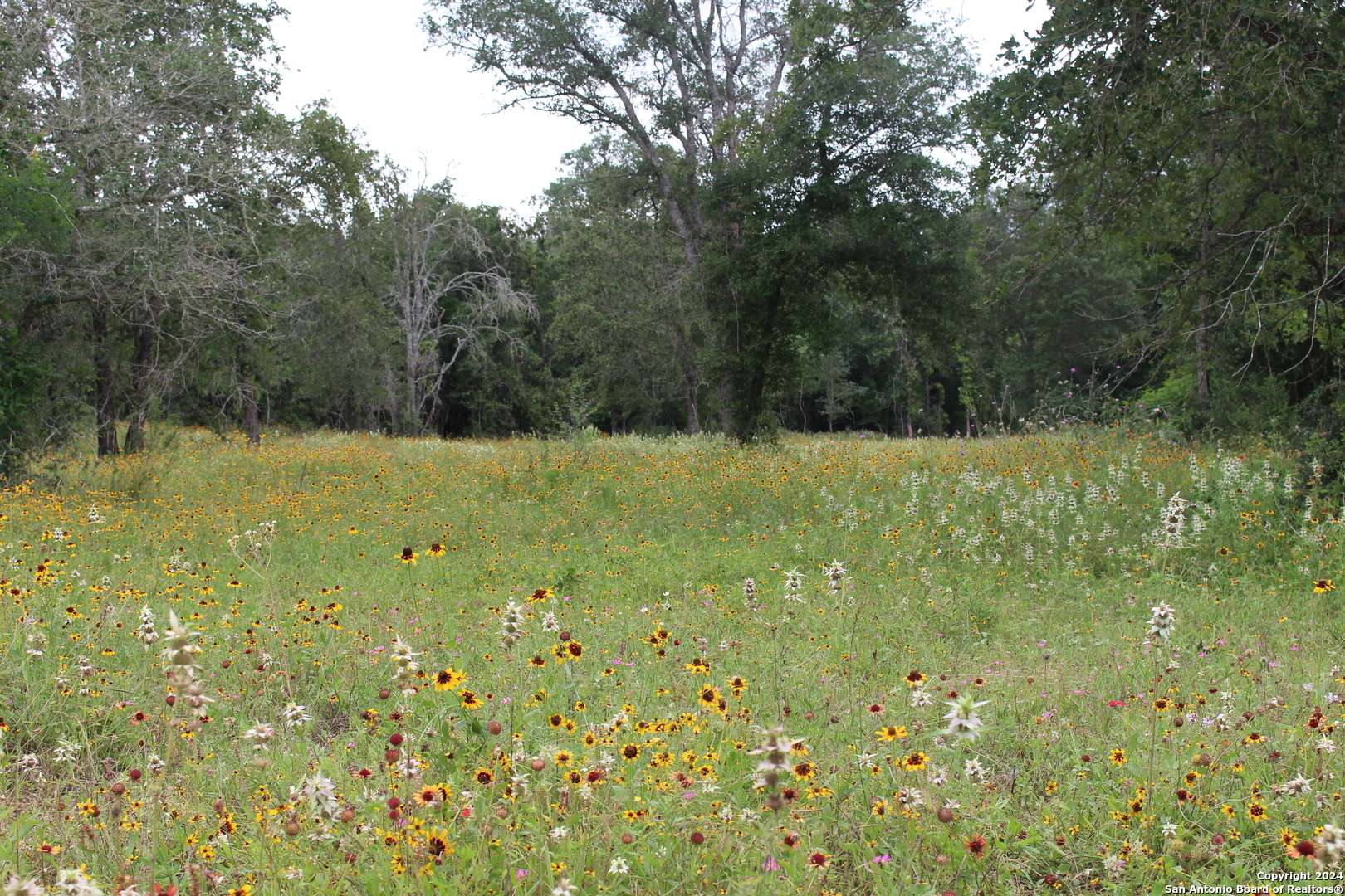 Seguin, TX 78155,TBD Twin Creeks Rd