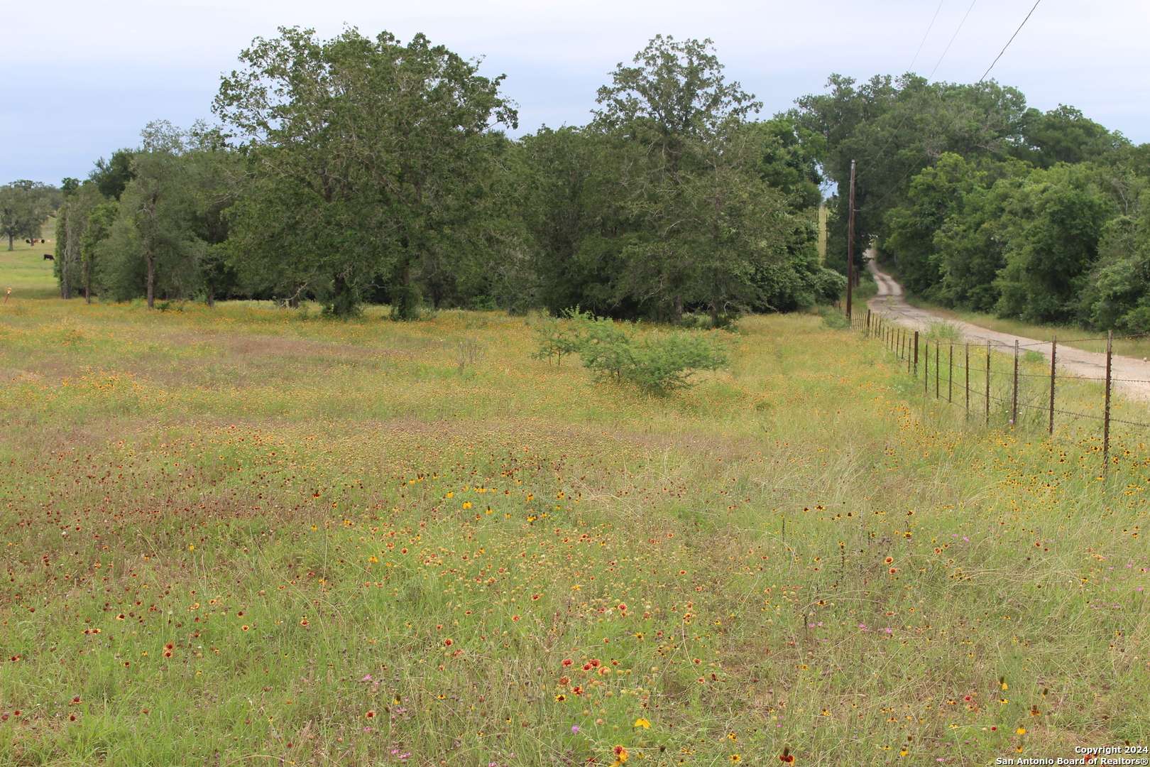 Seguin, TX 78155,TBD Twin Creeks Rd