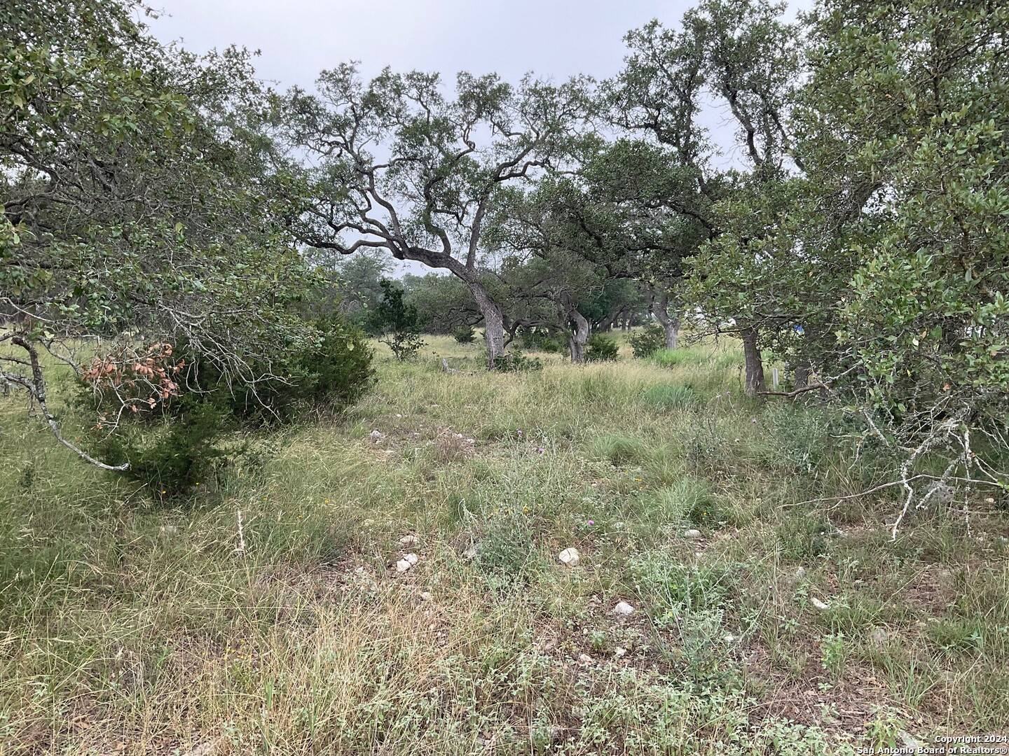 Boerne, TX 78006,3-E-301B Cordillera Springs