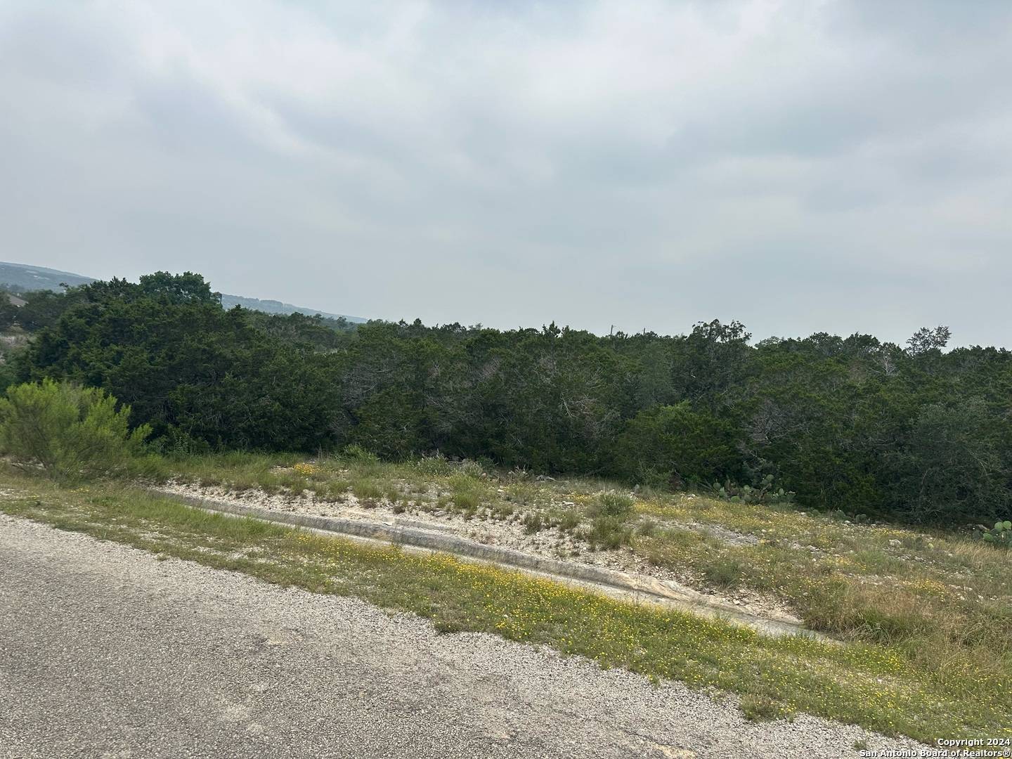 Fischer, TX 78623,223 Freedom St