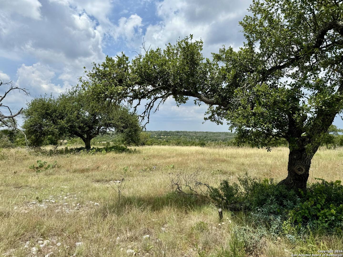 Fredericksburg, TX 78624,LOT 25 Ridgeline Rd