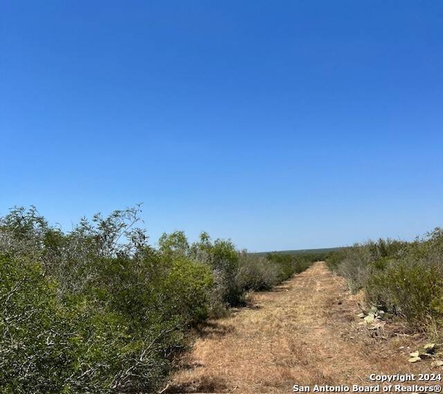 Benavides, TX 78341,000 County Road 315