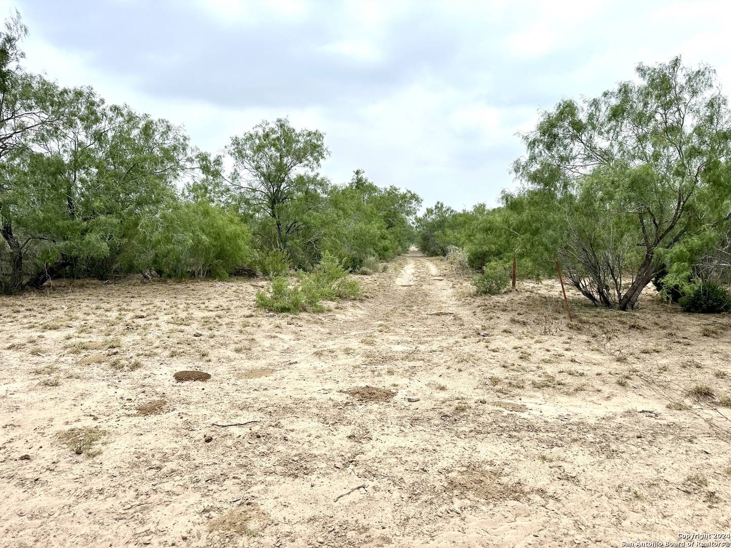 Zapata, TX 78528,0000 CR 649