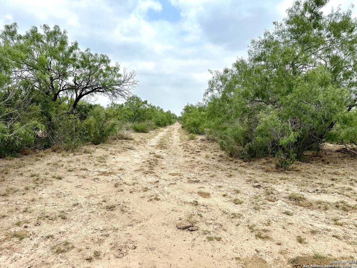 Zapata, TX 78528,0000 CR 649