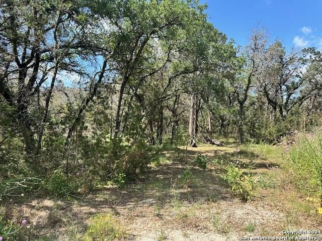 Spring Branch, TX 78070,LOT 8 LAKE PARK DR