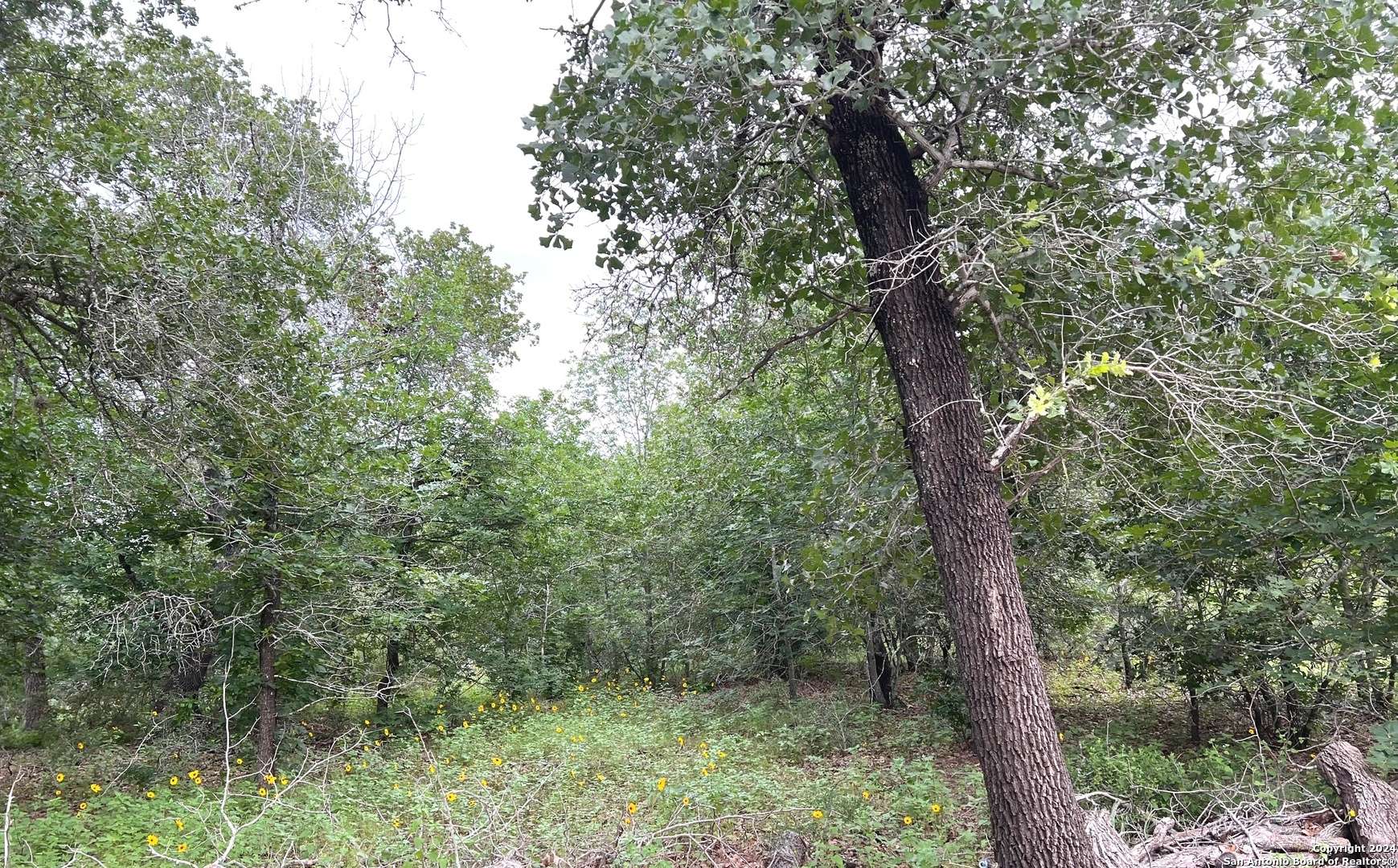 San Antonio, TX 78264,606 Sherrywood Ln
