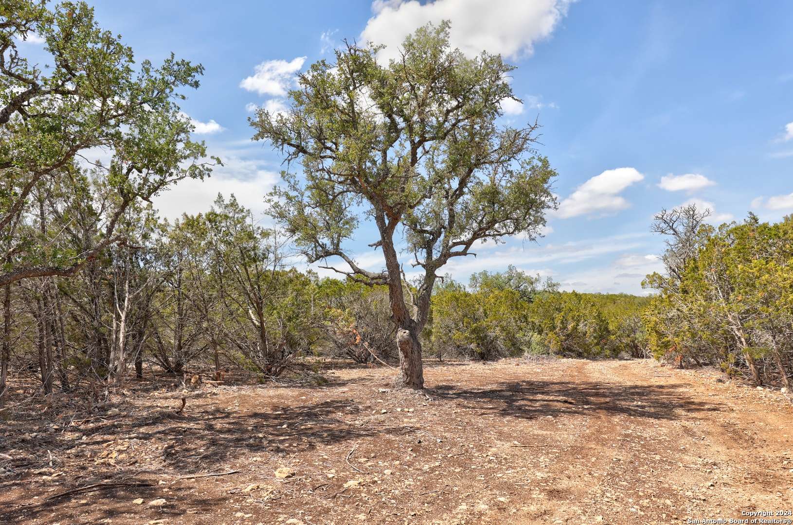Hunt, TX 78024,TRACT 4 Rocky Top Rd