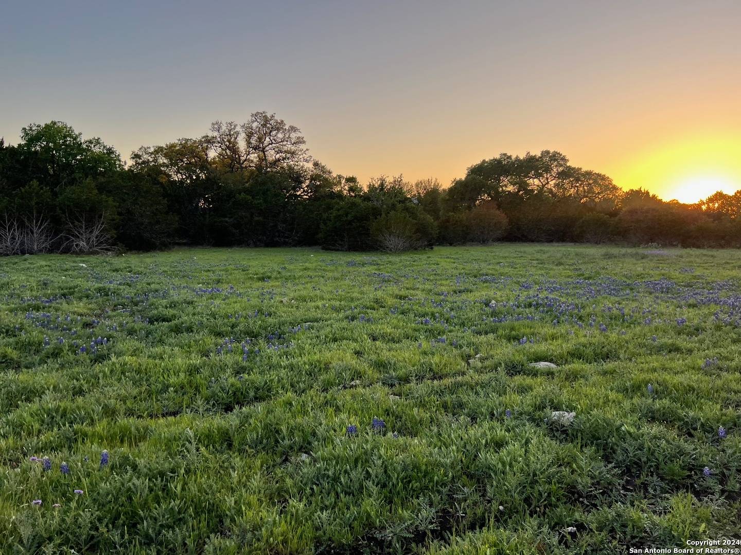 Pipe Creek, TX 78063,26 Vaquero