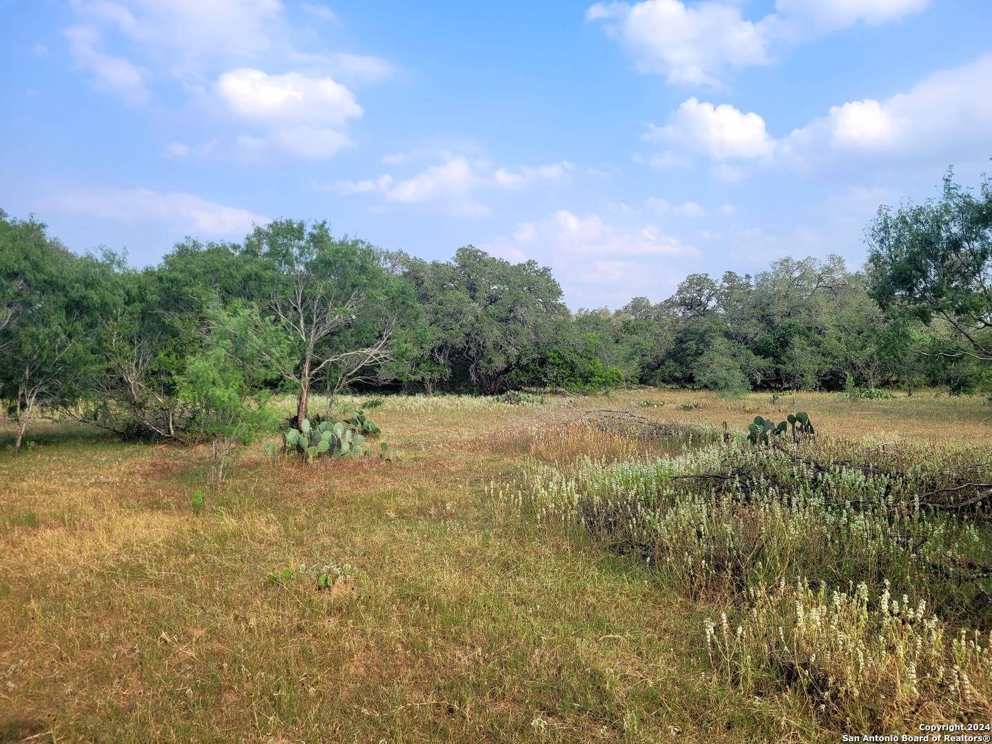 Floresville, TX 78114-5049,LOT 1 OF 7 Bar R Lane