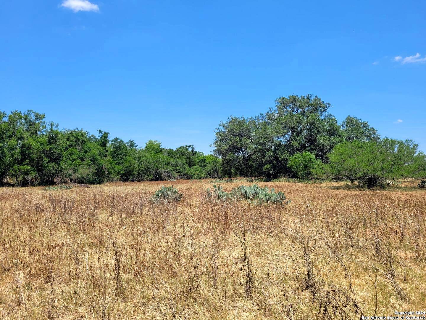 Floresville, TX 78114-5049,LOT 3 OF 7 Bar R Lane