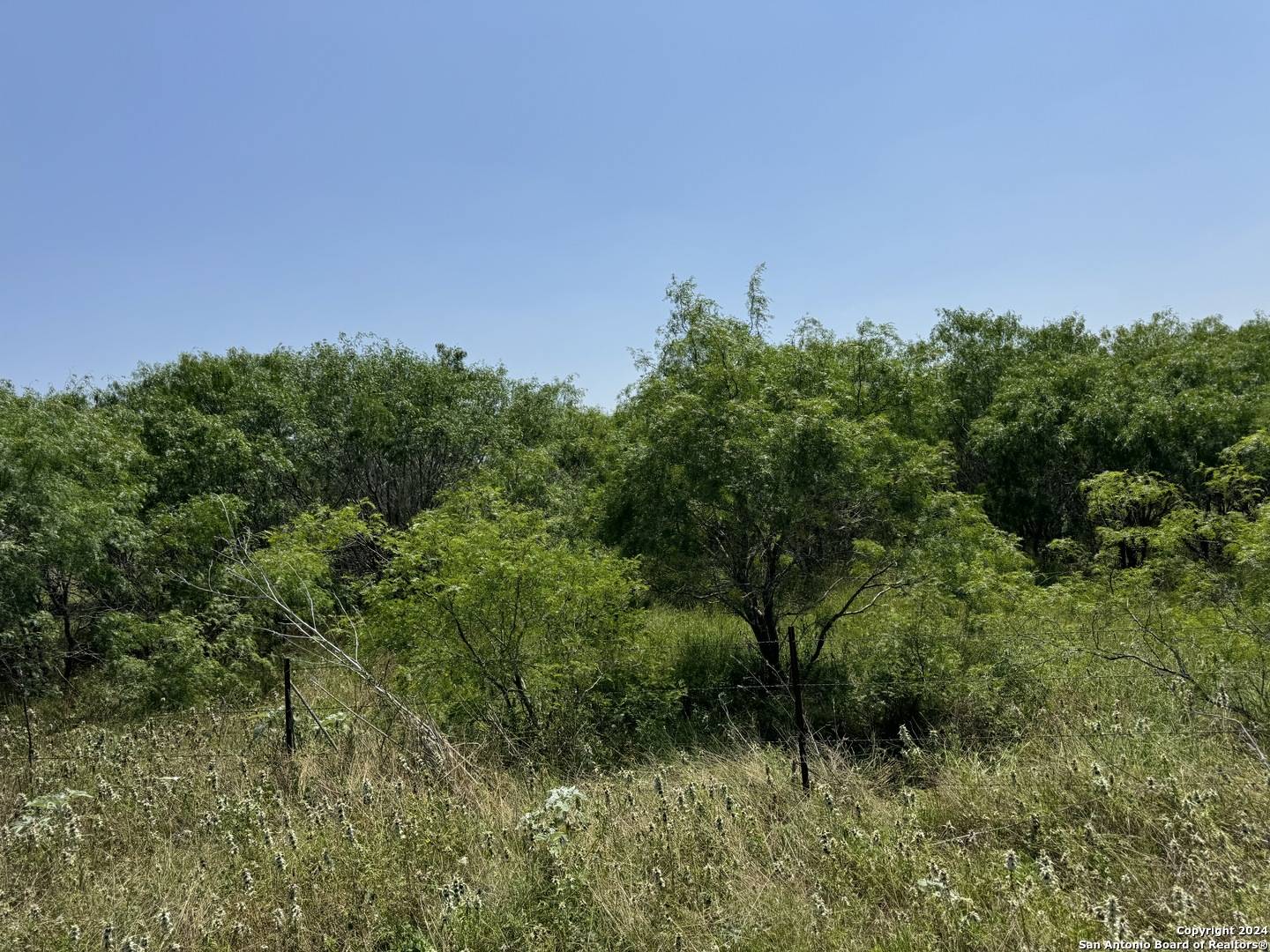 Stockdale, TX 78160,000 Steele Branch Lane Tract 3