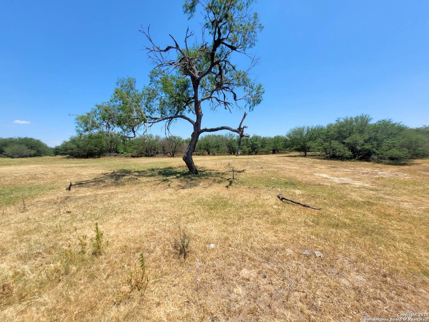 Floresville, TX 78114-5049,LOT 6 OF 7 Bar R Lane