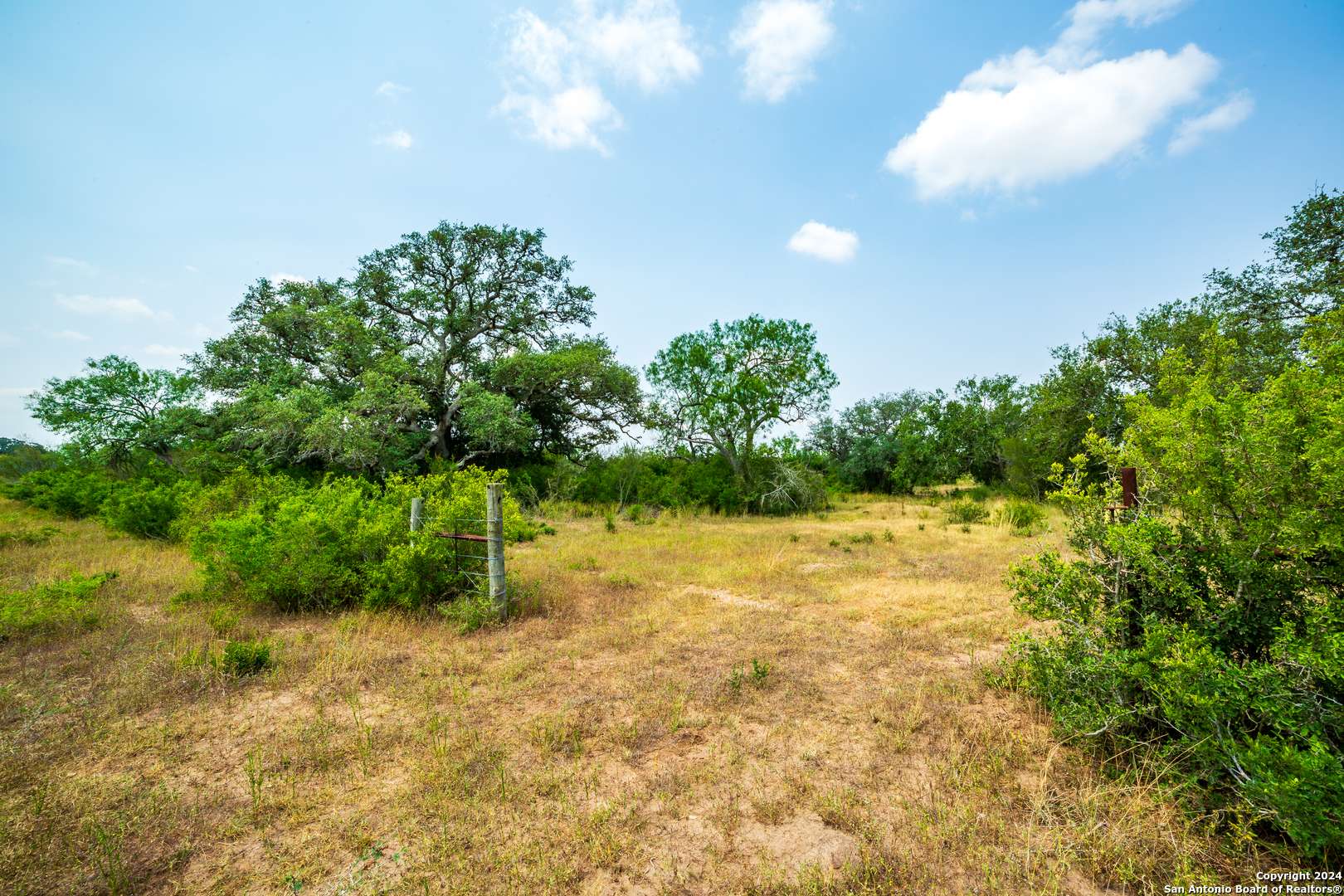Beeville, TX 78102,3698 Viggo Rd