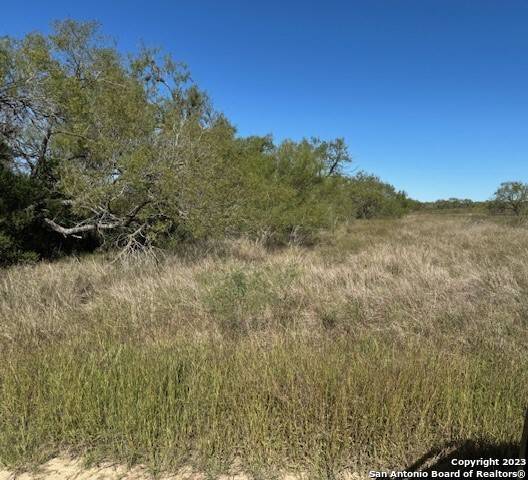 Pleasanton, TX 78064,3816C County Road 422