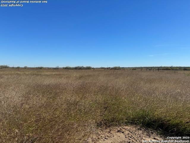 Pleasanton, TX 78064,3816C County Road 422