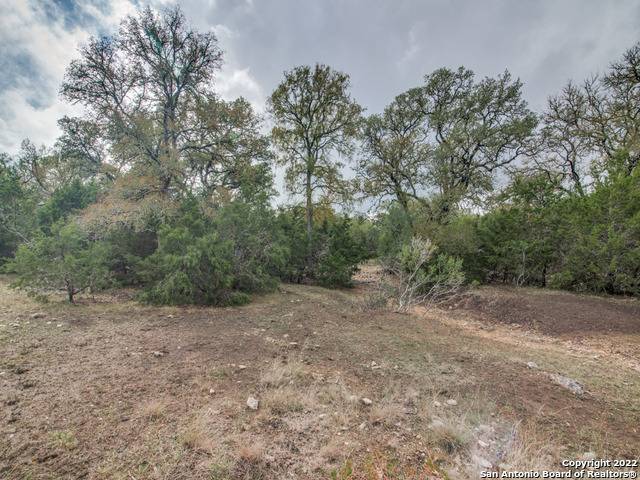 Spring Branch, TX 78070,109 LANTANA CERRO