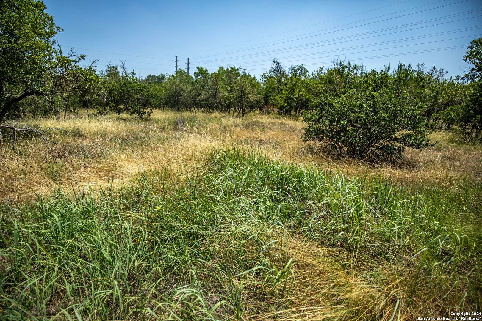 Center Point, TX 78010,137 Steel Creek Crest