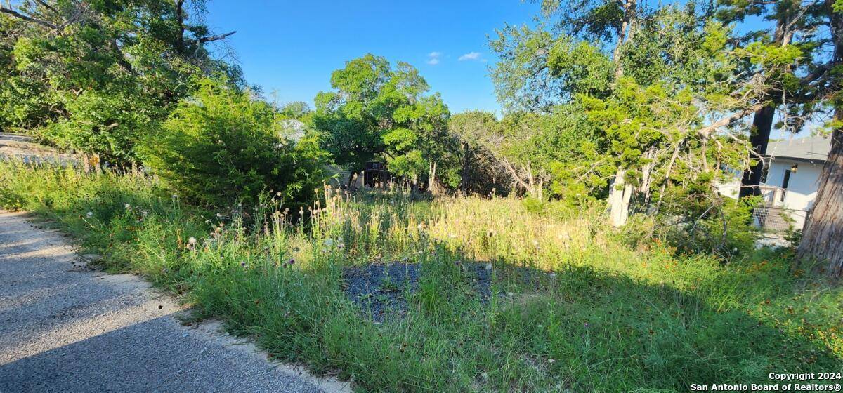 Spring Branch, TX 78070,1697 winding creek