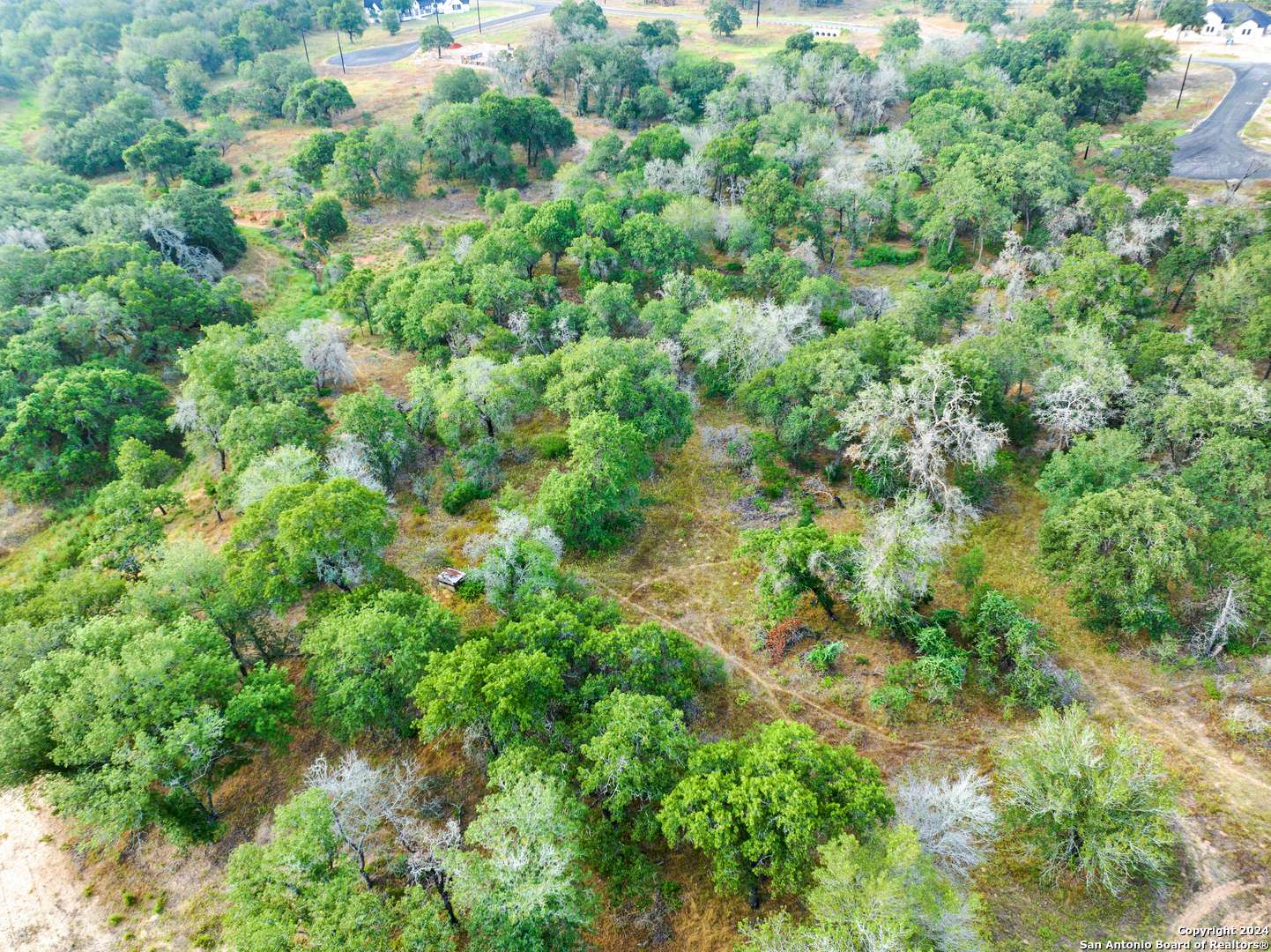 La Vernia, TX 78121,250 TIMBER PL