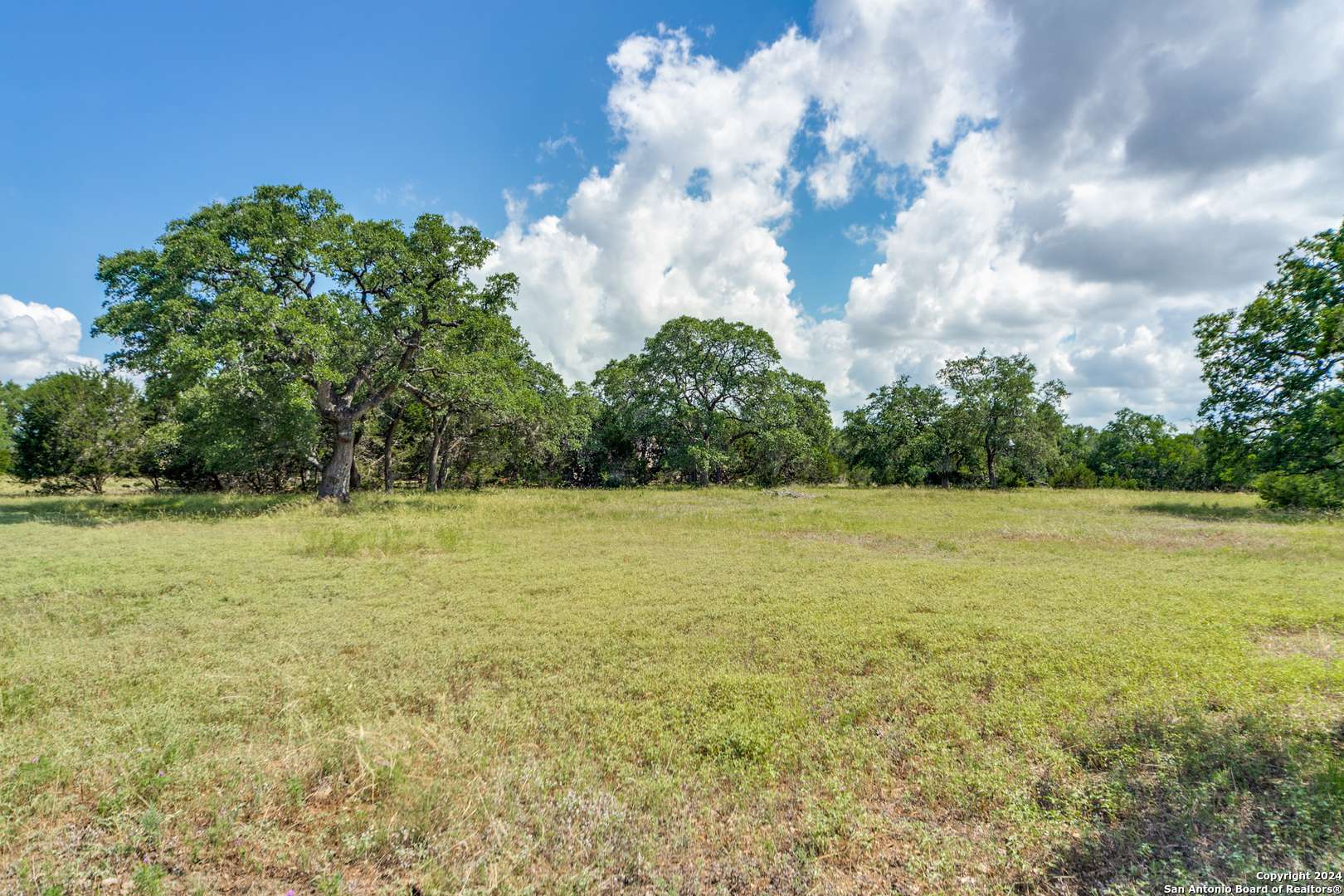 Boerne, TX 78006,59 River Crossing