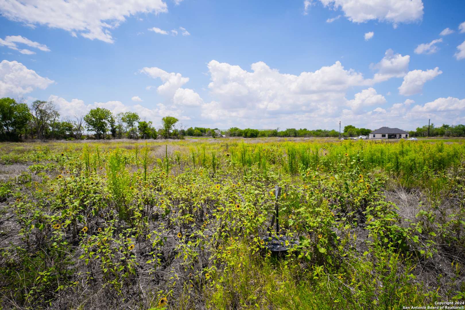 Marion, TX 78124,208 Farmhouse