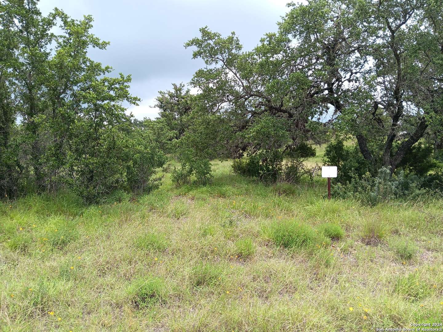 Johnson City, TX 78636,LOT 92 Summit Ridge Trail