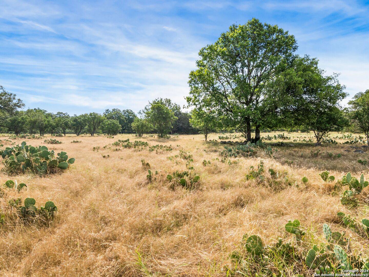 Boerne, TX 78006,LOT 11A Swede Springs