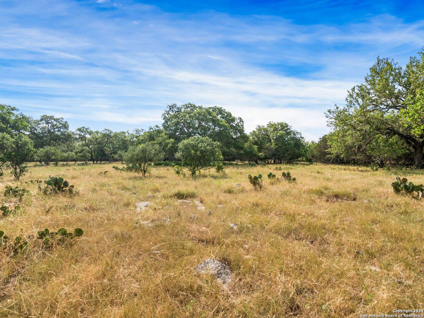 Boerne, TX 78006,LOT 11A Swede Springs