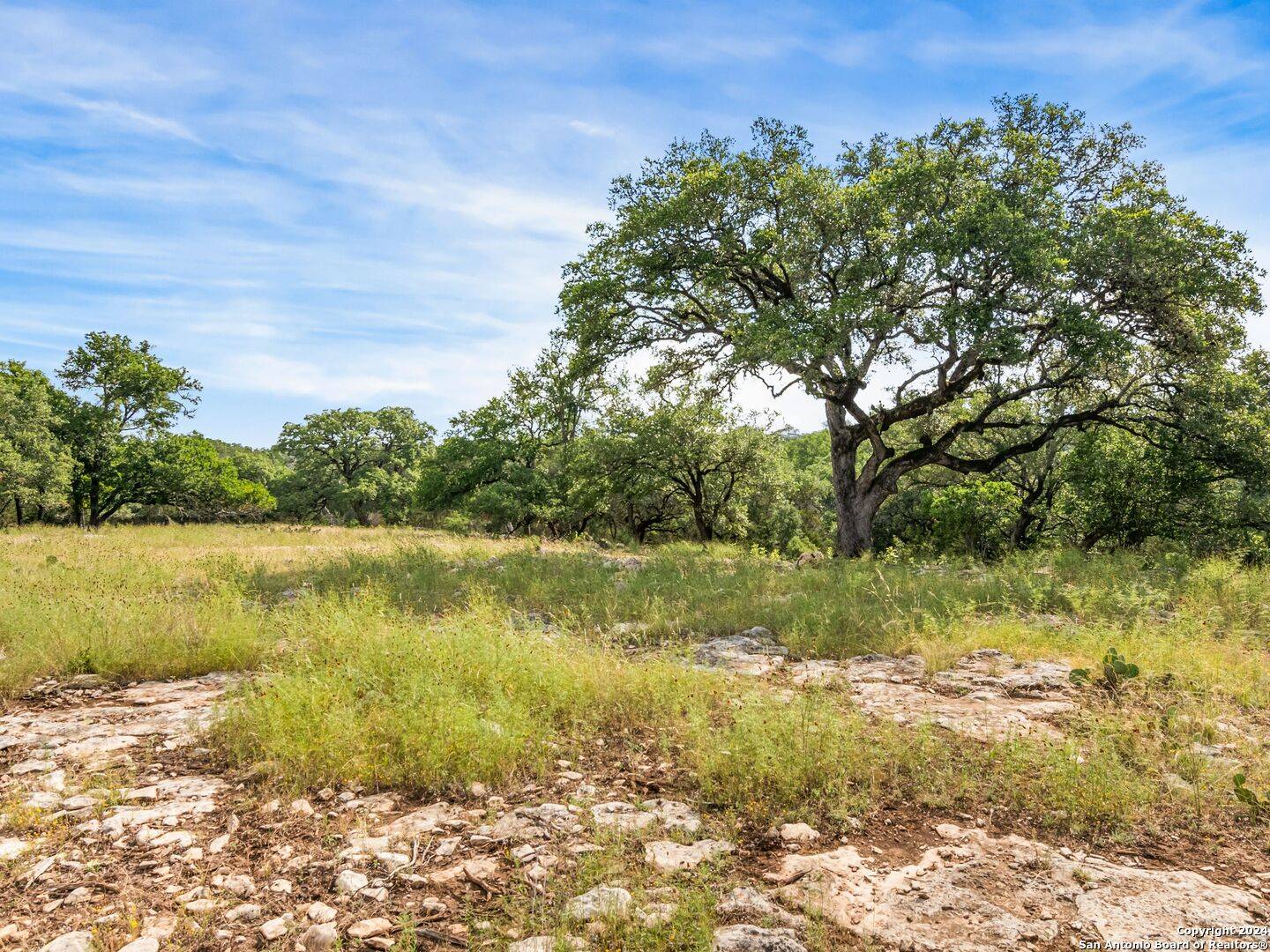 Boerne, TX 78006,LOT 11A Swede Springs