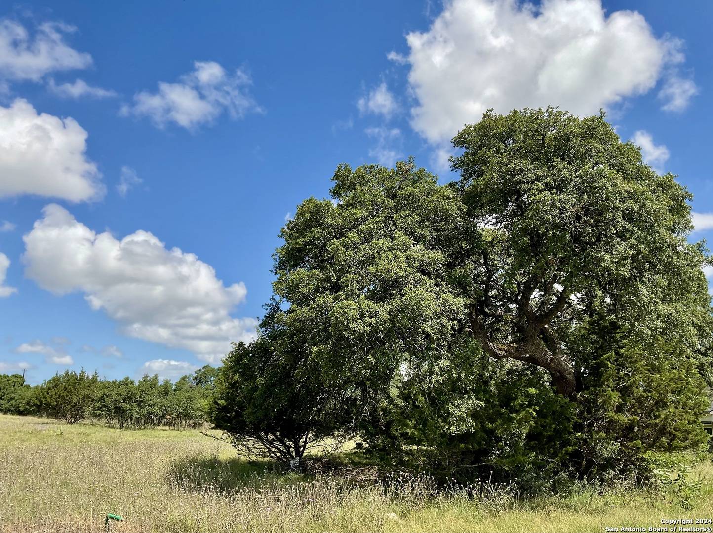 Blanco, TX 78606,105 steve baker