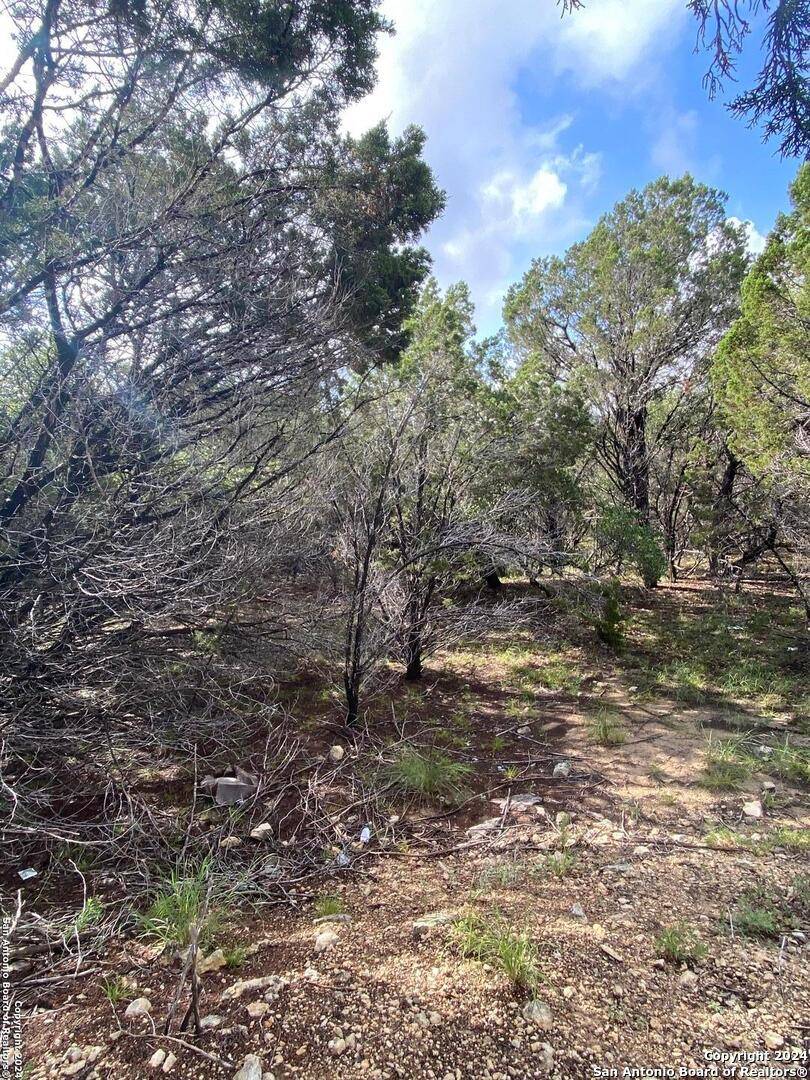 Lago Vista, TX 78645,7729 Dakota Cir