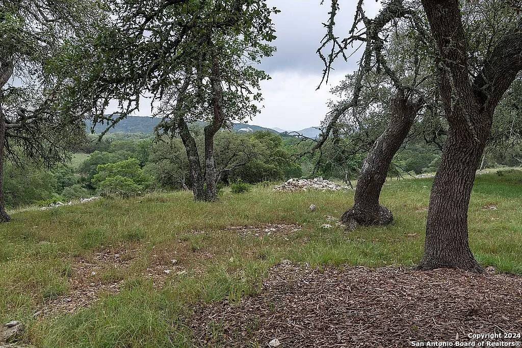 Boerne, TX 78006-8540,211 SKYVIEW DR