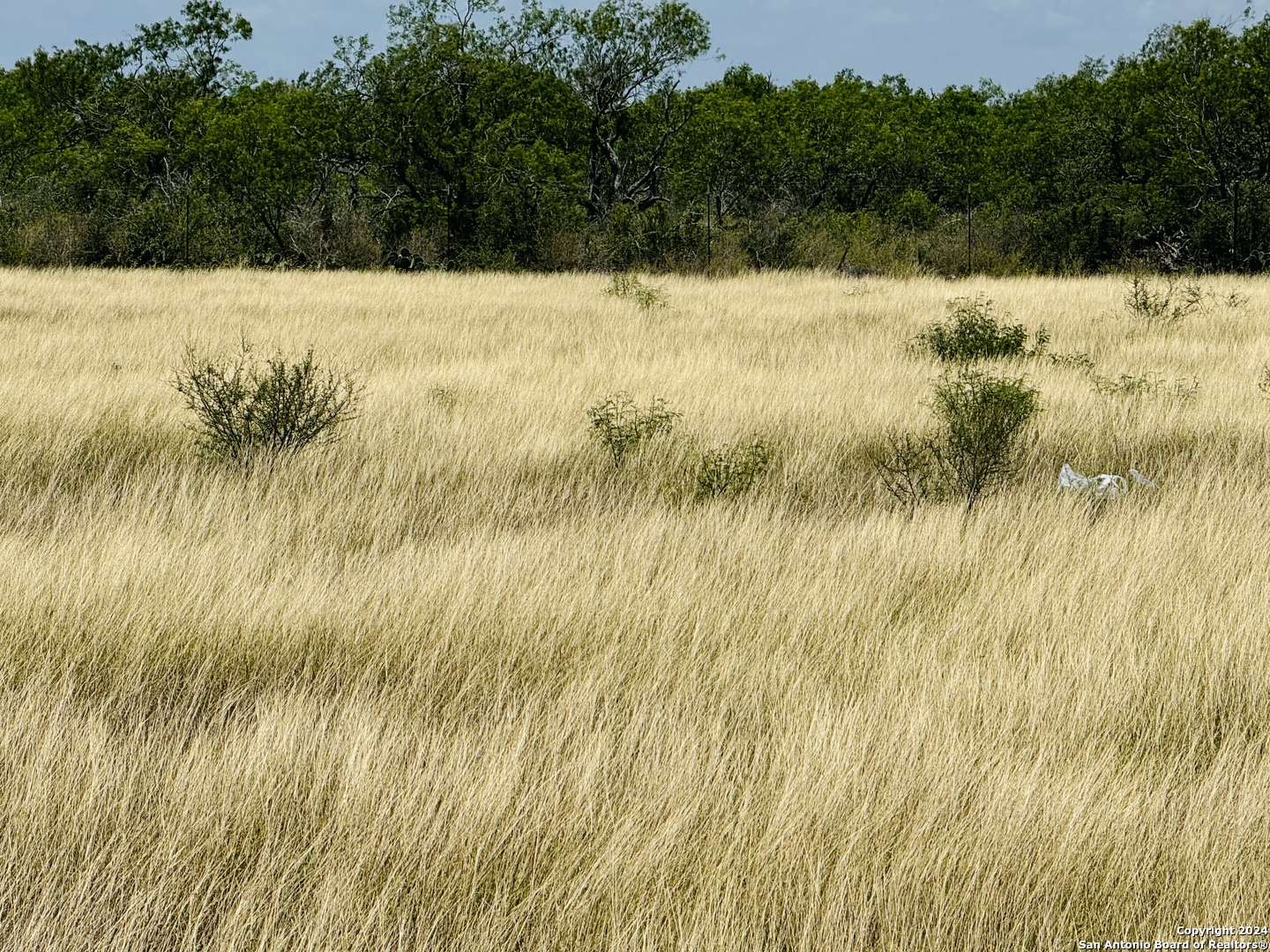 La Vernia, TX 78114,157 GENTLE BREEZE