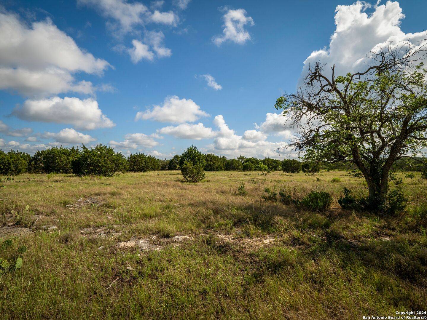 Boerne, TX 78006,LOT 12 Wainright Springs