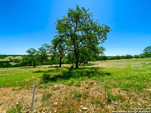 Kerrville, TX 78028,LOT 123 Loma Vista Ranch