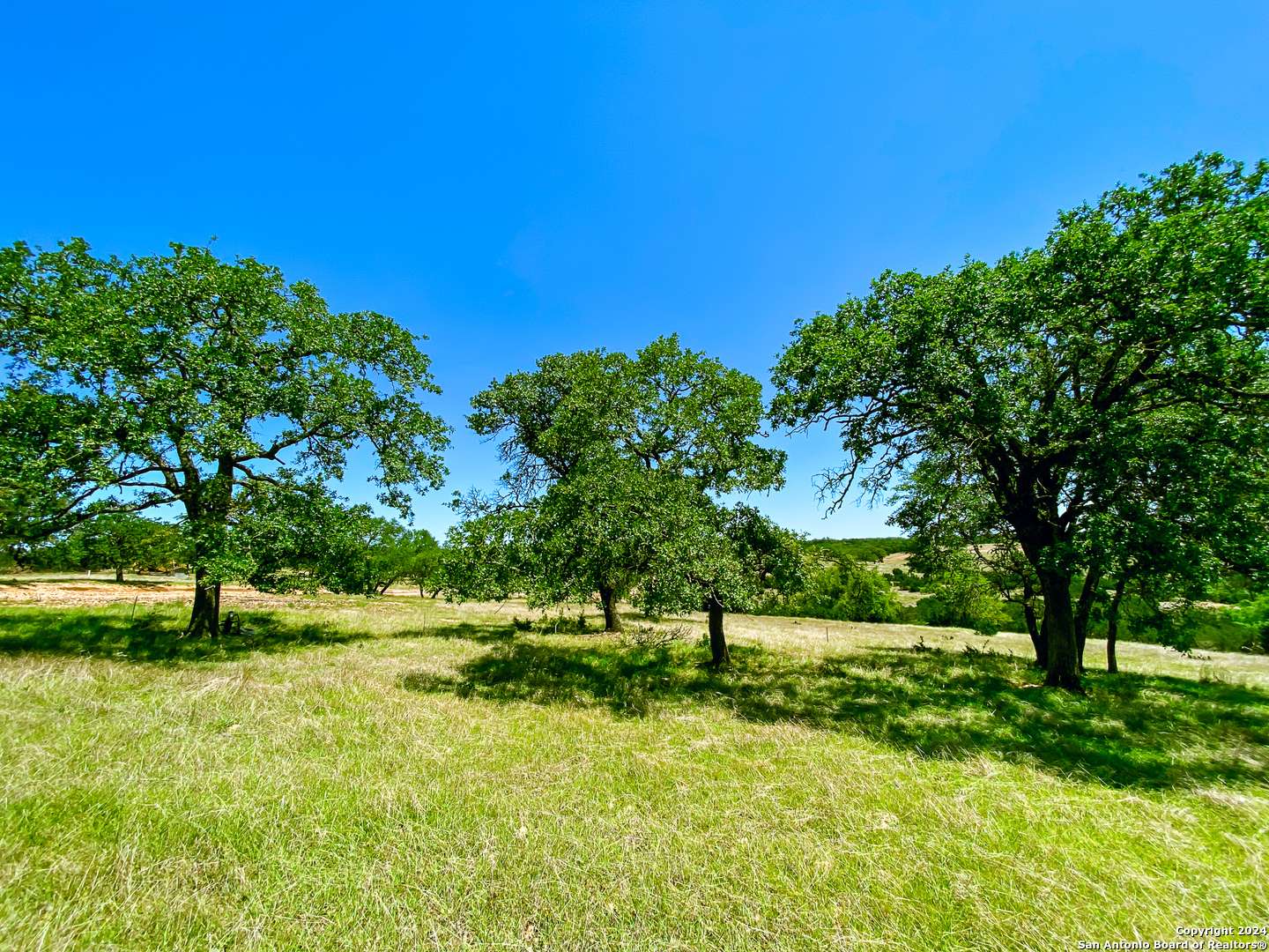 Kerrville, TX 78028,LOT 123 Loma Vista Ranch