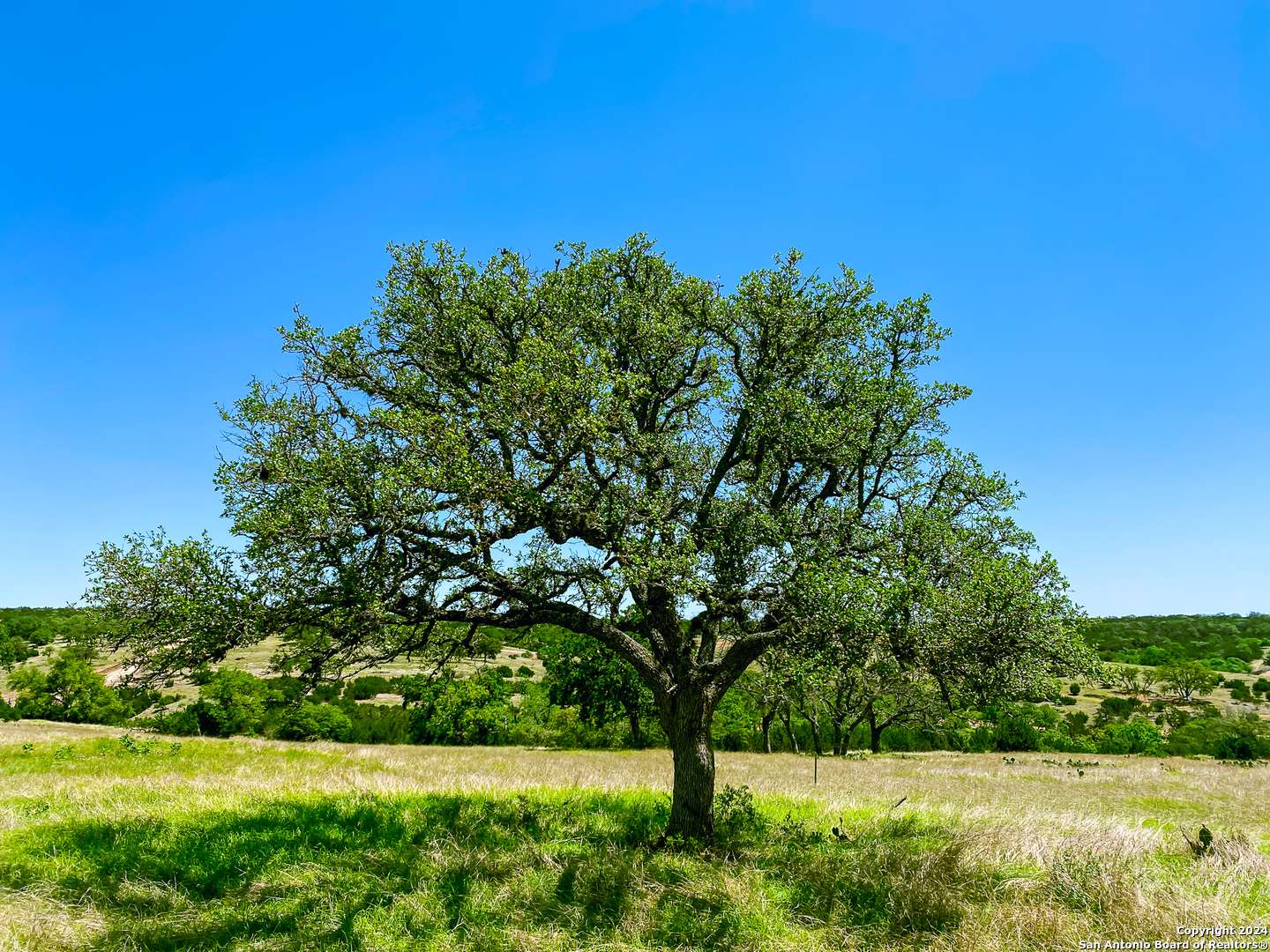 Kerrville, TX 78028,LOT 124 Loma Vista Ranch