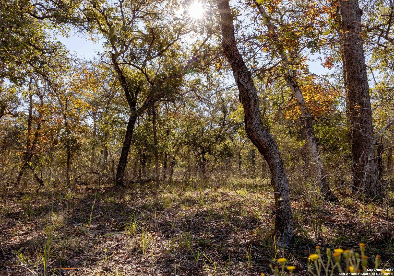 Seguin, TX 78155,1707 vivroux ranch