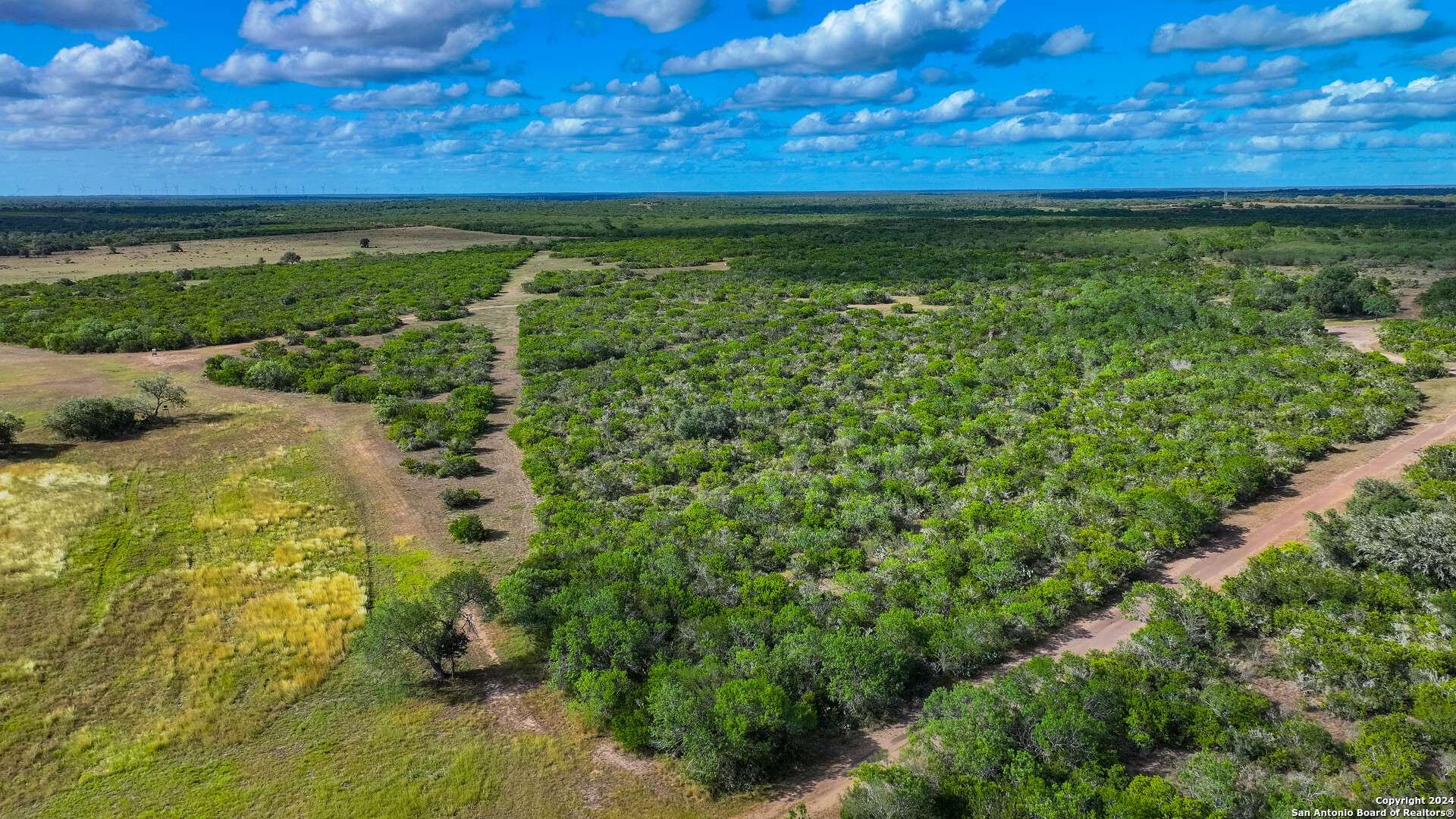 Beeville, TX 78102,6402 County Road 345