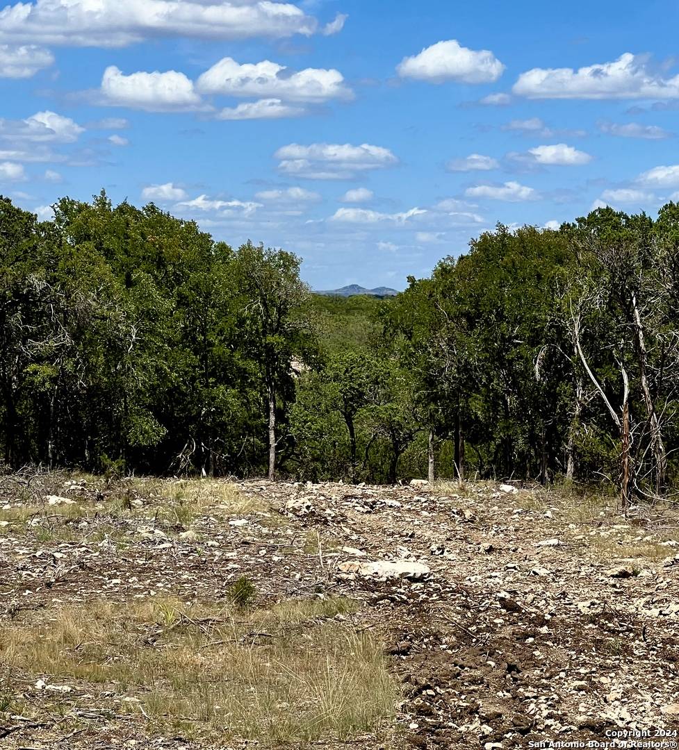 Boerne, TX 78006,37 SOTOL LN