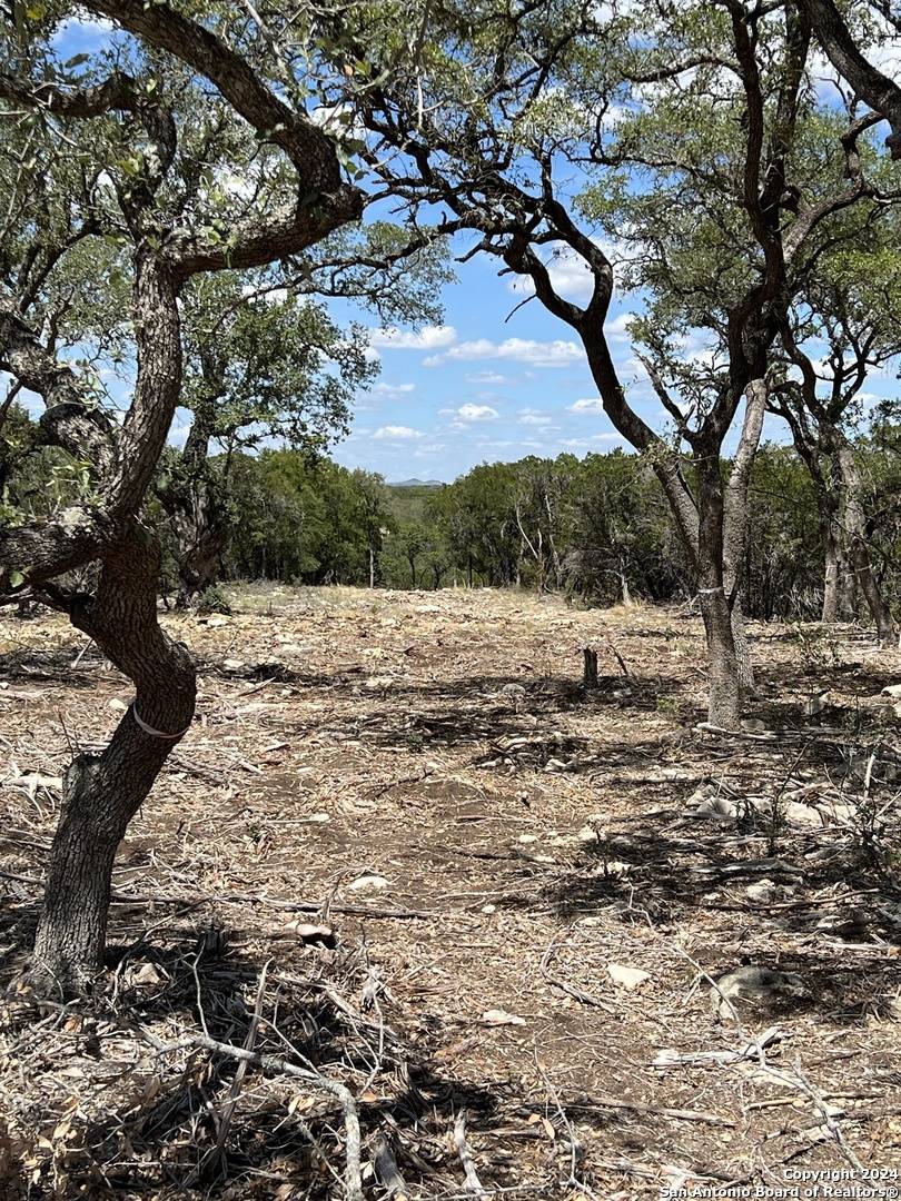 Boerne, TX 78006,37 SOTOL LN