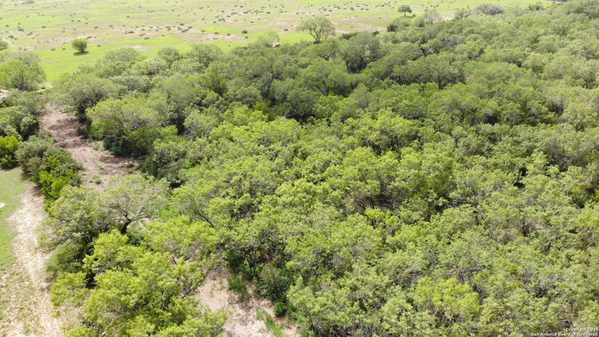 Christine, TX 78064,00 6th Street