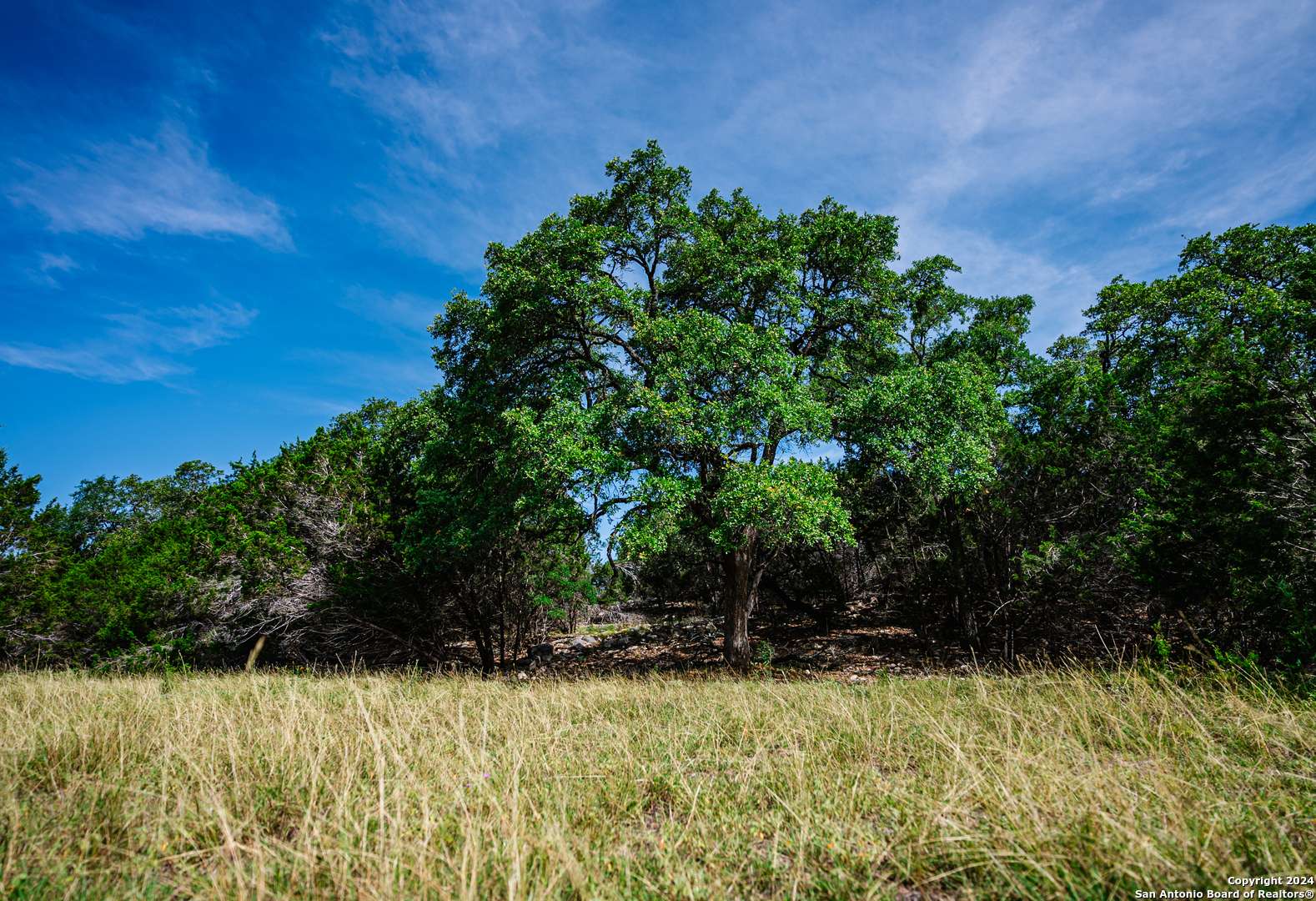 Boerne, TX 78006,LOT 6 MONTEREY TRL