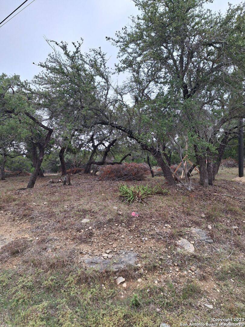 Canyon Lake, TX 78133,1891 ROCKY RIDGE LOOP