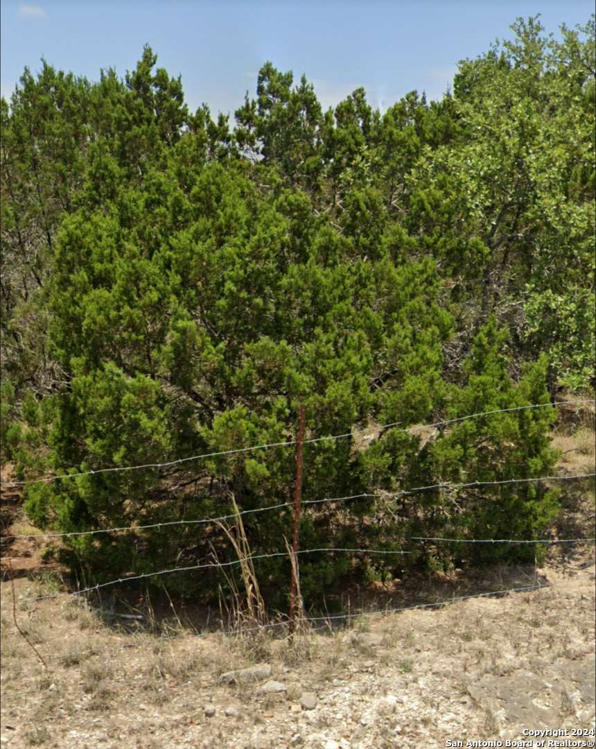 Canyon Lake, TX 78133,985 OBLATE DR