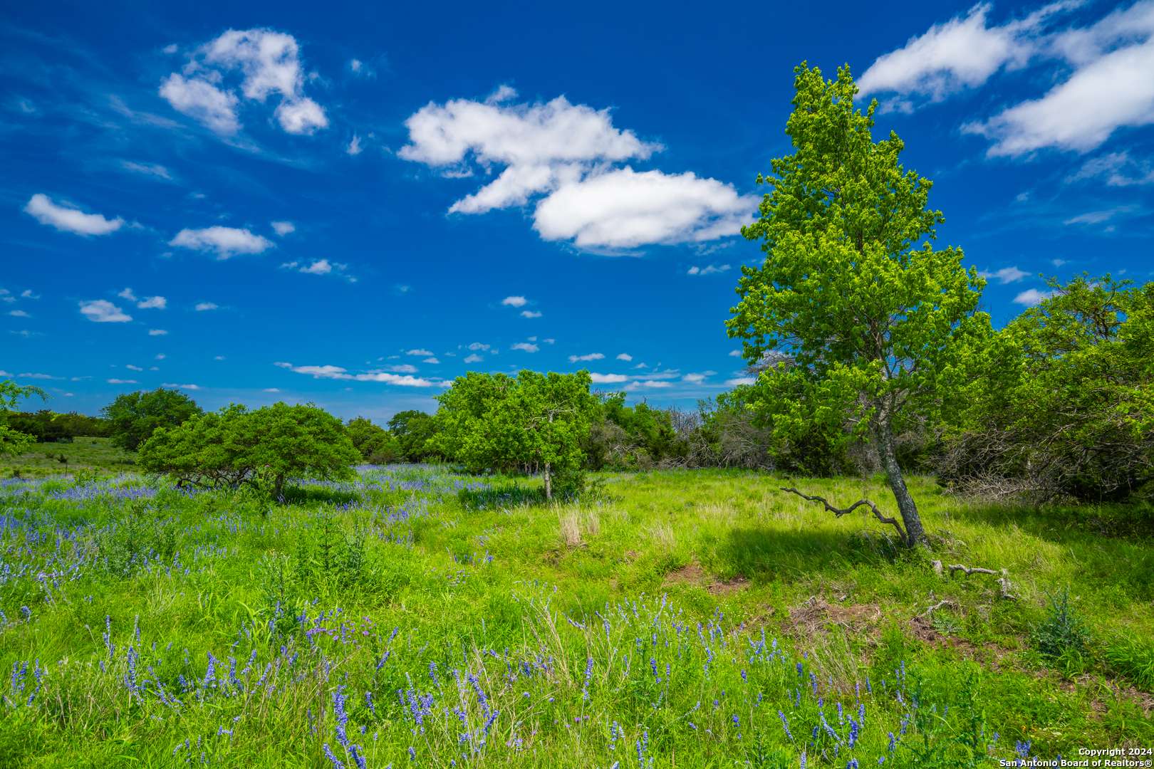 Harper, TX 78631,0 Jung Road